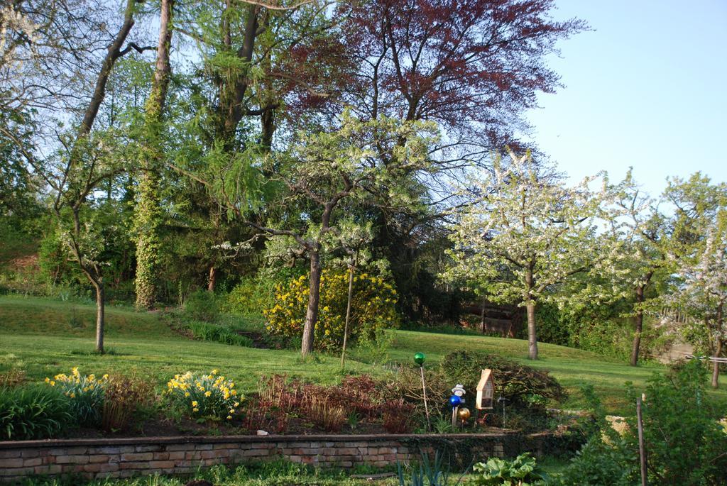 Villa Les Bleuets Scharrachbergheim-Irmstett Zimmer foto